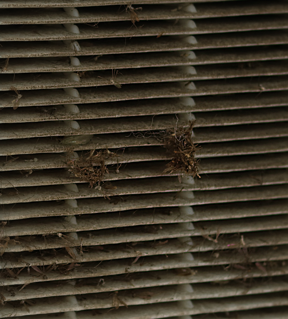 filtre vmc